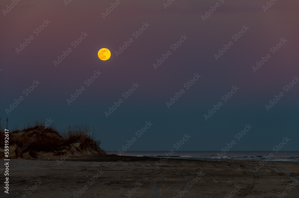 Moonrise over Dunes and Beach