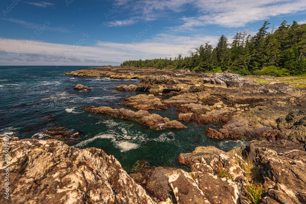 nature sceneries over the Pacific Ocean, along the Vancouver Island coastline, british columbia, Canada