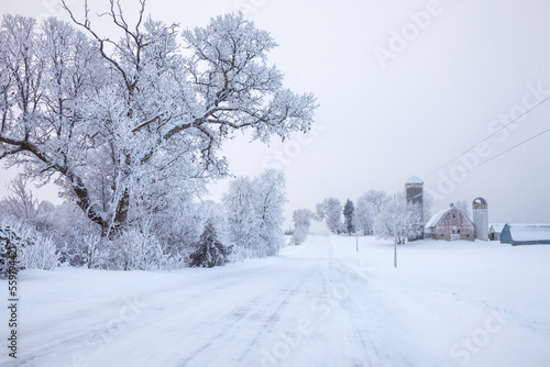 Farm in winter along a road with trees in Minnesota on a frosty snowy morning