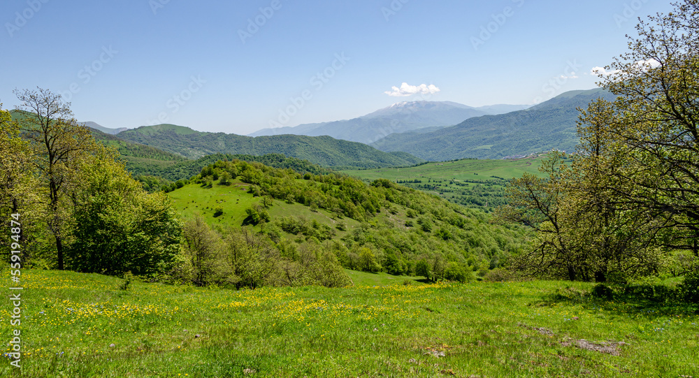 Peaceful view in the mountains in summer. Field with flowers, green hills, mountains in the distance, blue sky. Peaceful view in the mountains in summer. Field with flowers, green hills, mountains in the distance, blue sky.