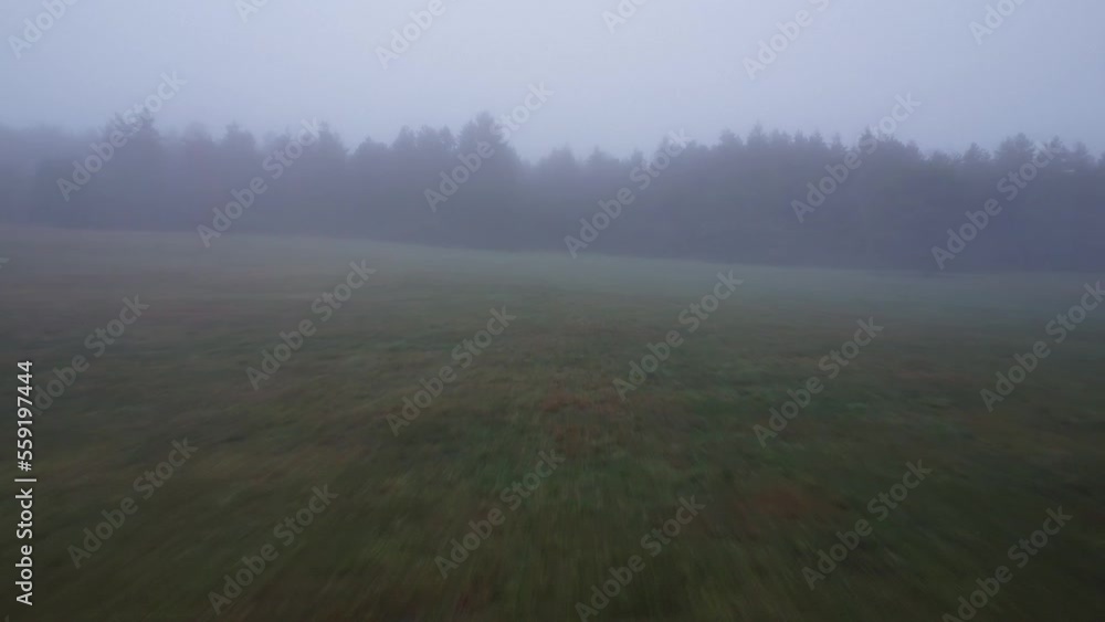 flight over a forest in thick fog flight over a forest in thick fog