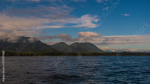 pacific ocean seascape in front of Tofino, Vancouver Island, Canada © fruttuoso