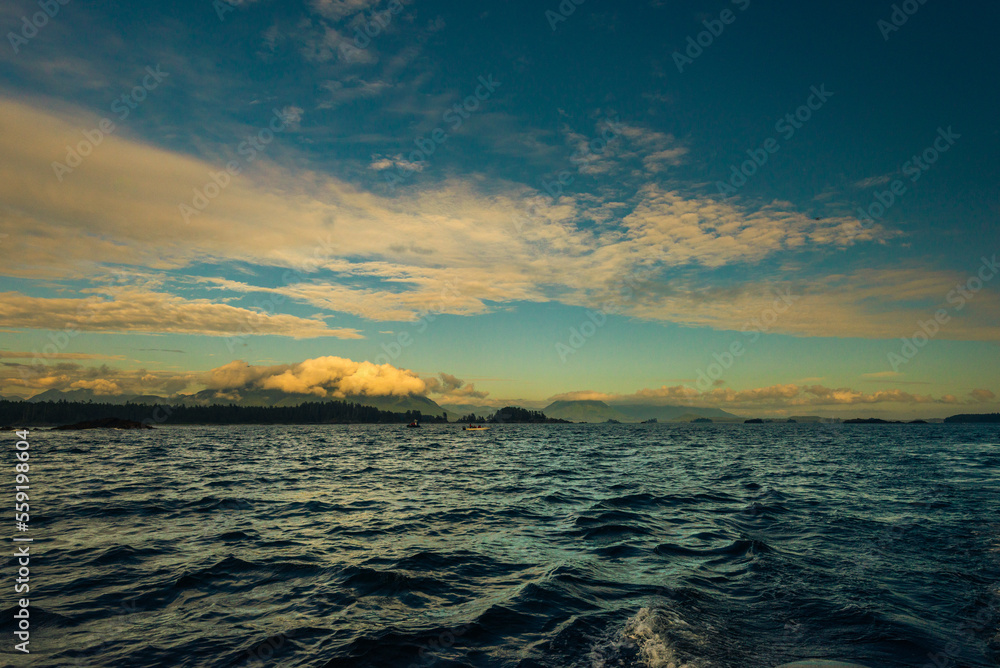 Obraz premium pacific ocean seascape in front of Tofino, Vancouver Island, Canada