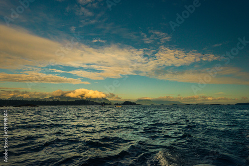 pacific ocean seascape in front of Tofino  Vancouver Island  Canada