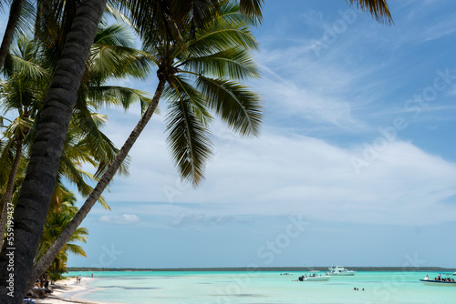 Fototapeta Naklejka Na Ścianę i Meble -  paradisiacal beach of white sands and turquoise waters with its palm tree