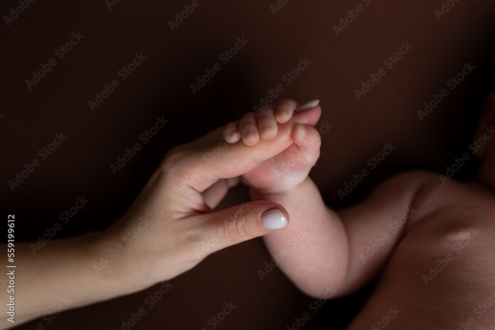 Close-up little hand of child and palm of mother and father. The newborn baby has a firm grip on the parent's finger after birth. A newborn holds on to mom's, dad's finger. - obrazy, fototapety, plakaty 