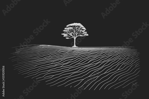 minimal landscape with one tree amidst the field