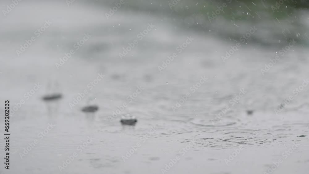 Slow motion closeup of summer heavy rain drops falling into puddles on asphalt Slow motion closeup of summer heavy rain drops falling into puddles on asphalt