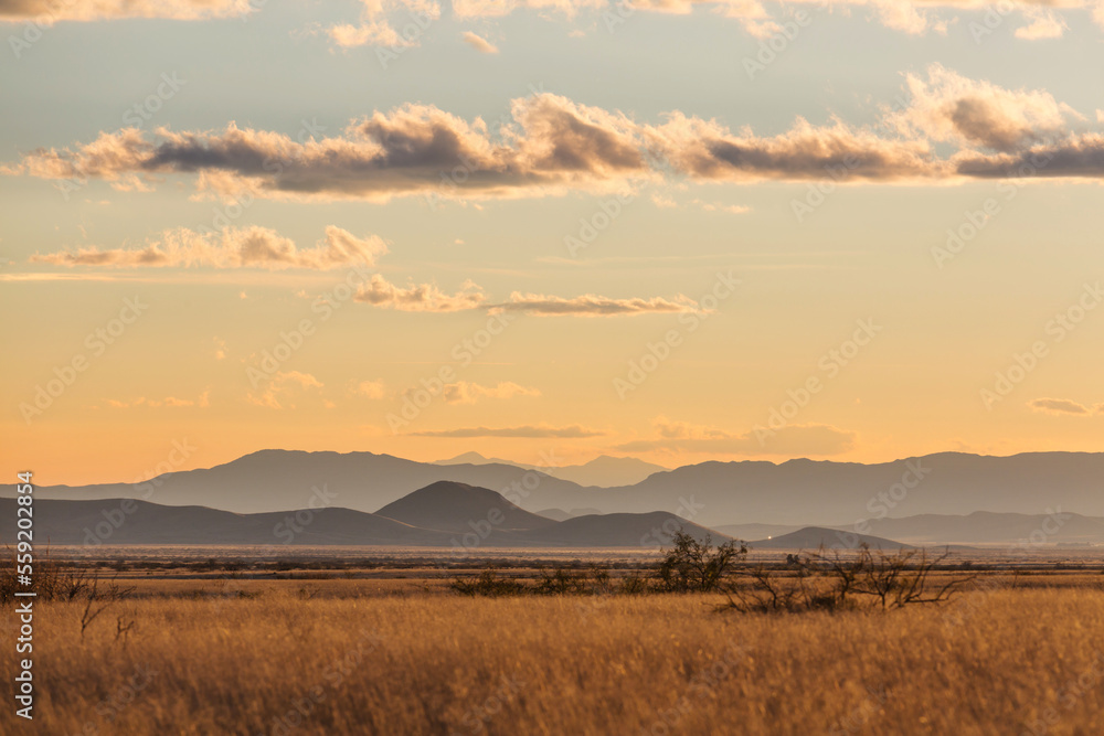 American prairie American prairie