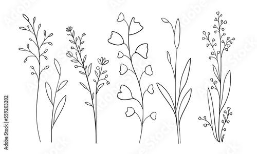 Wildflowers line art on white background. Spring flowers outline. Flowers set. Botanical vector illustration