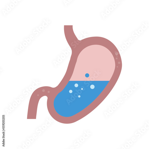 stomach vector illustration