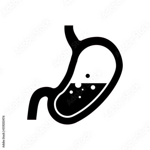 stomach vector illustration