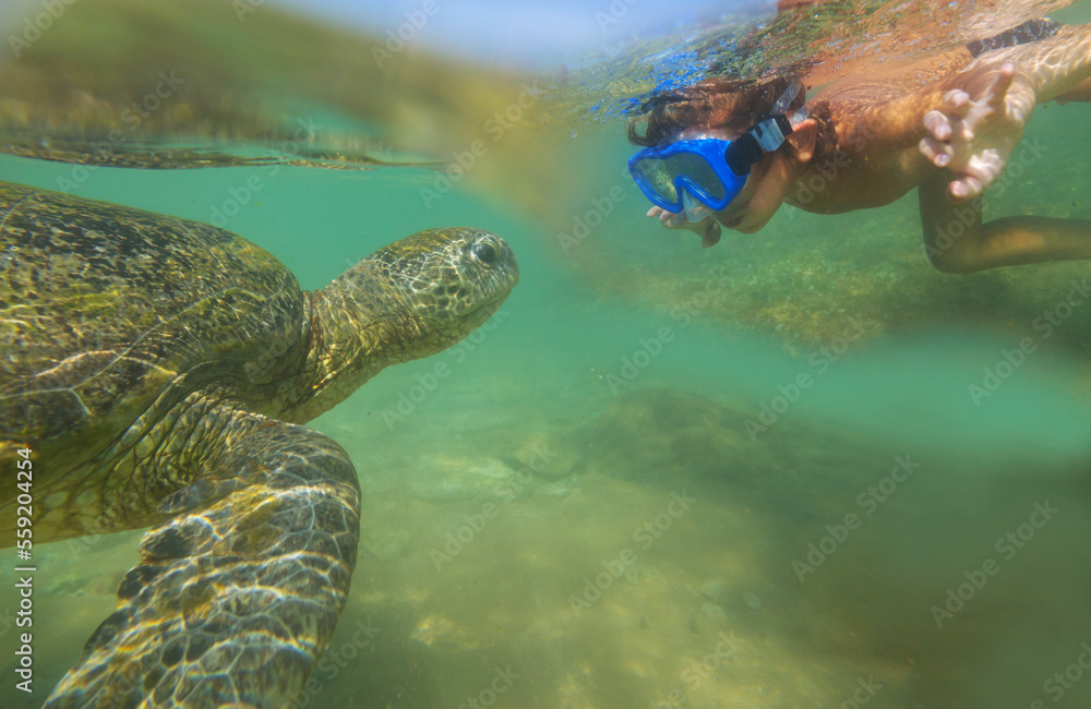 Obraz premium Turtle and boy