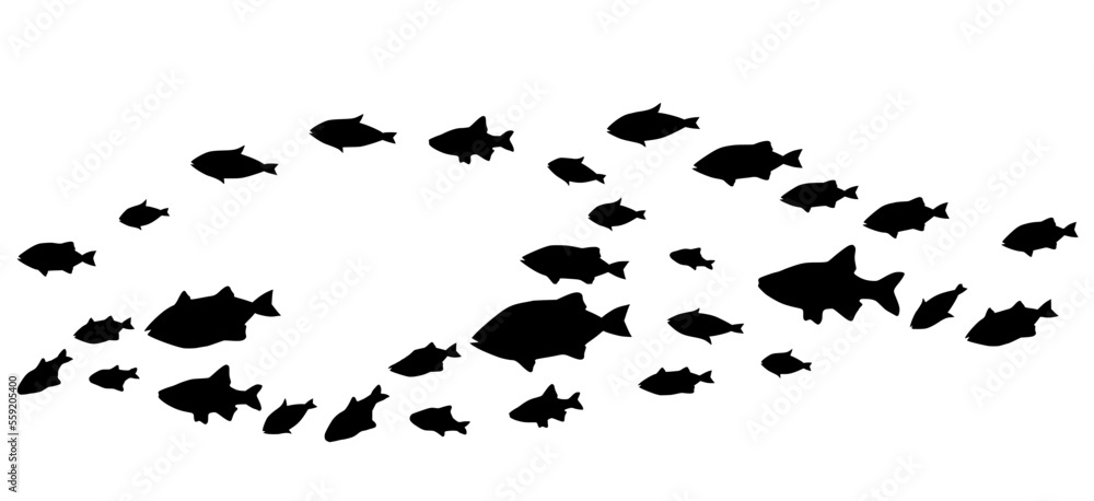 Fototapeta premium Silhouettes of groups of fishes on white. Vector