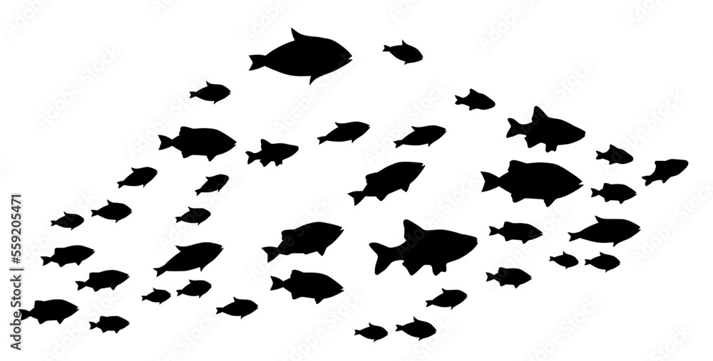 Silhouettes of groups of fishes on white. Vector Silhouettes of groups of fishes on white. Vector