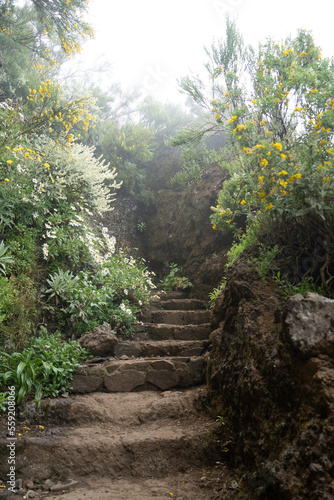 nebliger weg auf Madeira