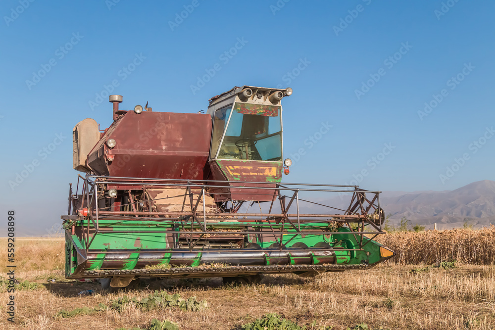 Fototapeta premium An old harvester works in the field.Collecting safflower by a harvester.