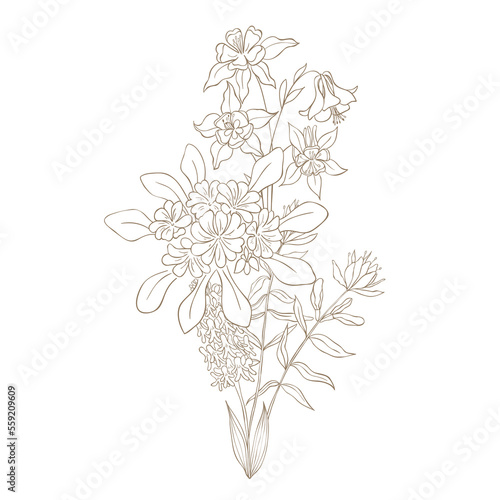 Hand Drawn Wildflower Bouquet. Line art Vector Illustration.