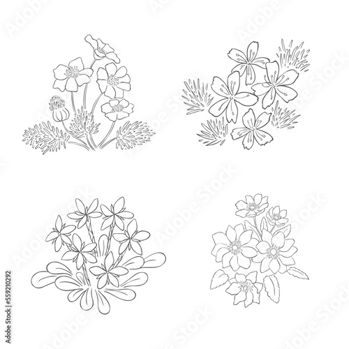 Hand Drawn Wildflowers Set. Line art Vector Illustration.