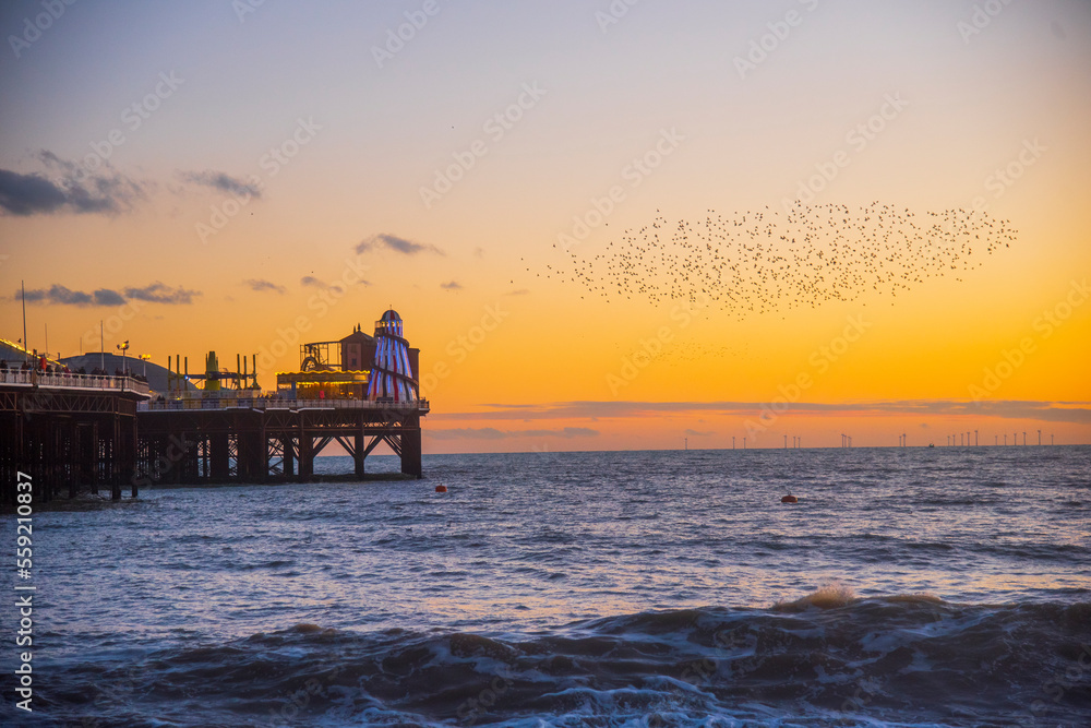 The Starling Murumuration off the Sussex Coast in Brighton