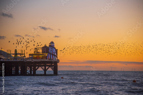 The Starling Murumuration off the Sussex Coast in Brighton