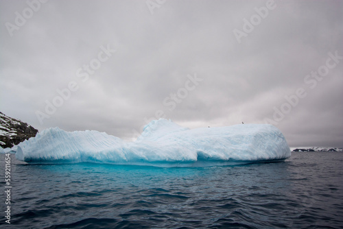 Valokuva iceberg in polar regions