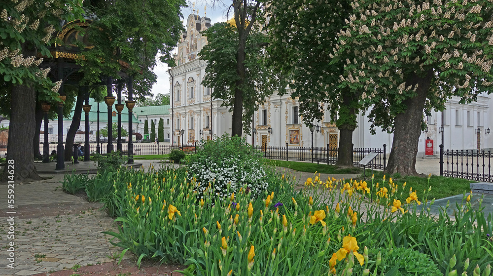 Spring flowers in the Kiev-Pechersk Lavra. View of the Assumption Cathedral
