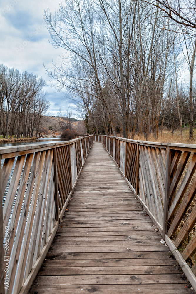 Naklejka premium PUENTE