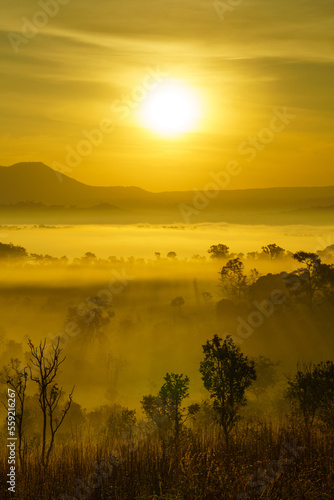 Landscape in misty scenery, Thung Salaeng Luang area, Phetchabun province, Thailand.