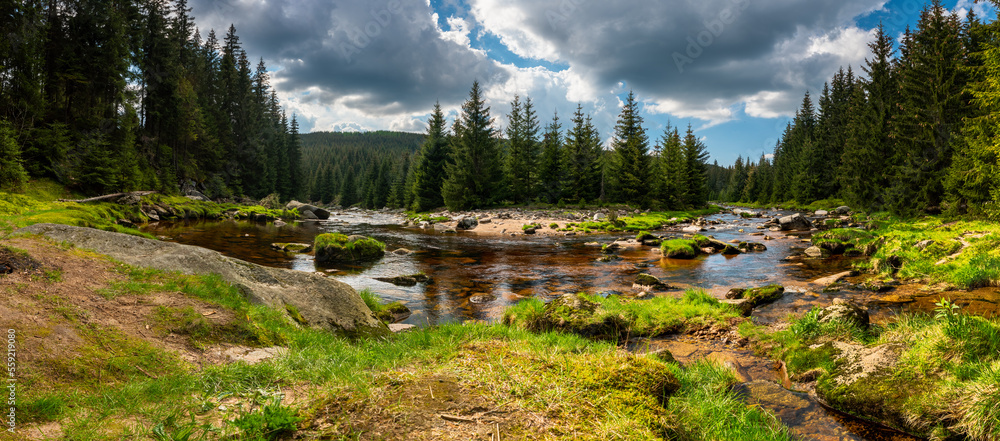 The Izera River in the Jizera Mountains, Polish-Czech border / Izery - obrazy, fototapety, plakaty 