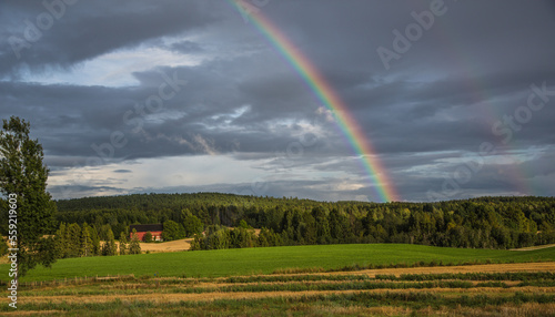 rainbow over the field