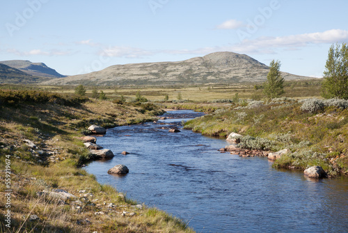 landscape with river