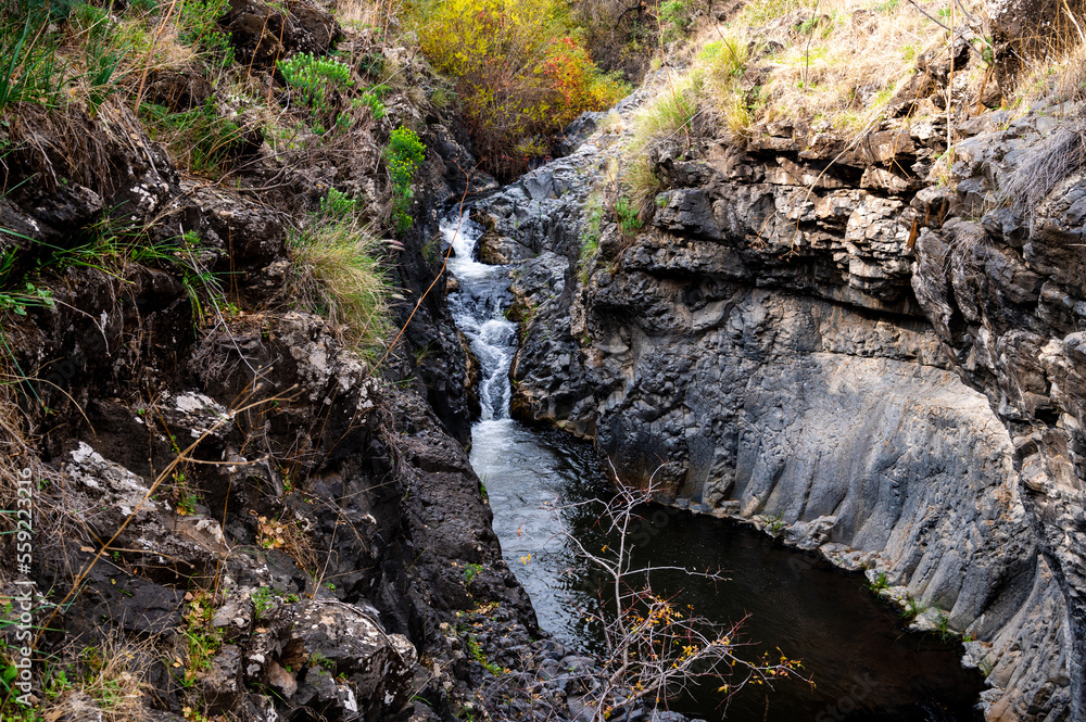 Obraz premium Mountain stream Meshushim. Nahal Meshushim. Rocks in the form of hexagonal basalt columns.