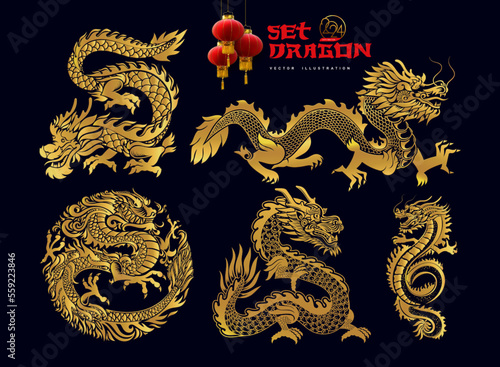 Collection of Traditional Chinese Dragon Fototapet