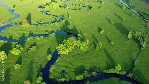 Forest in summer colors. Green deciduous trees and winding blue river in sunset. Soomaa wooded meadow, Estonia, Europe