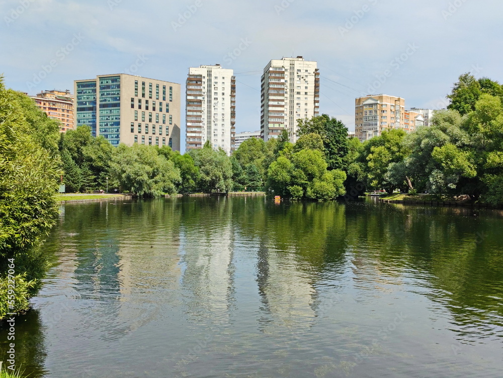 Green summer on Vorontsov Pond in Moscow