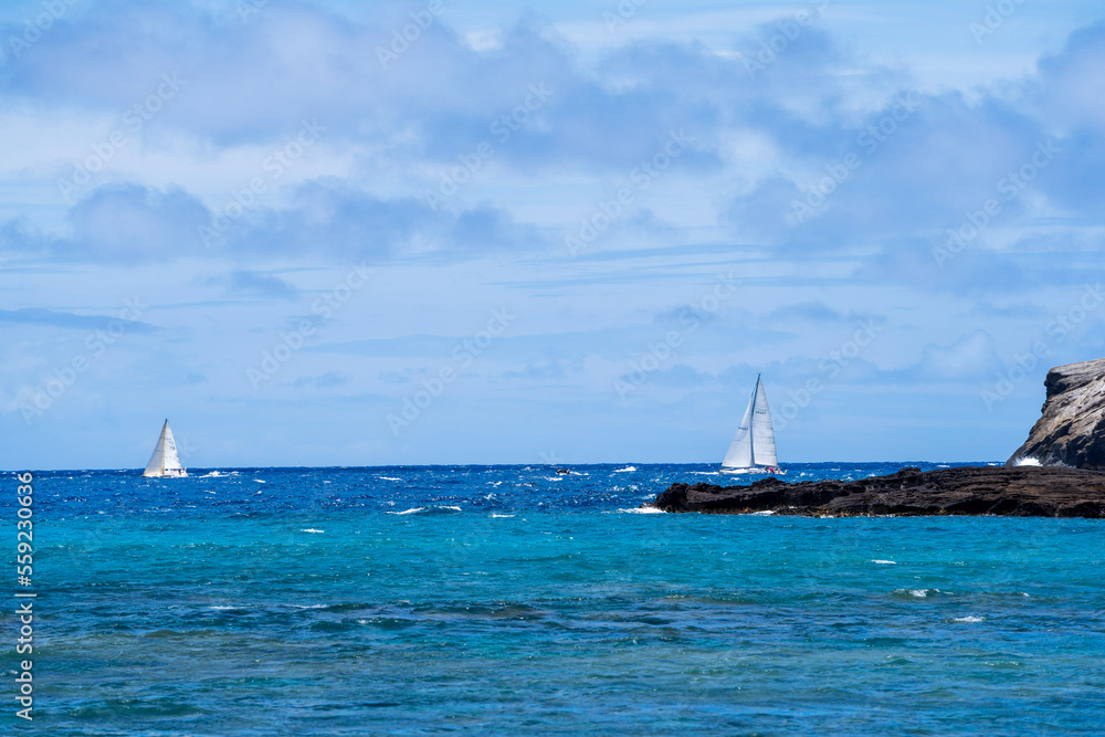 Obraz premium boat on the beach