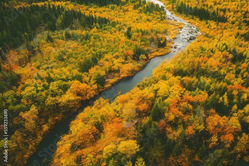 Aerial view River and Autumn woods Landscape, Generative AI