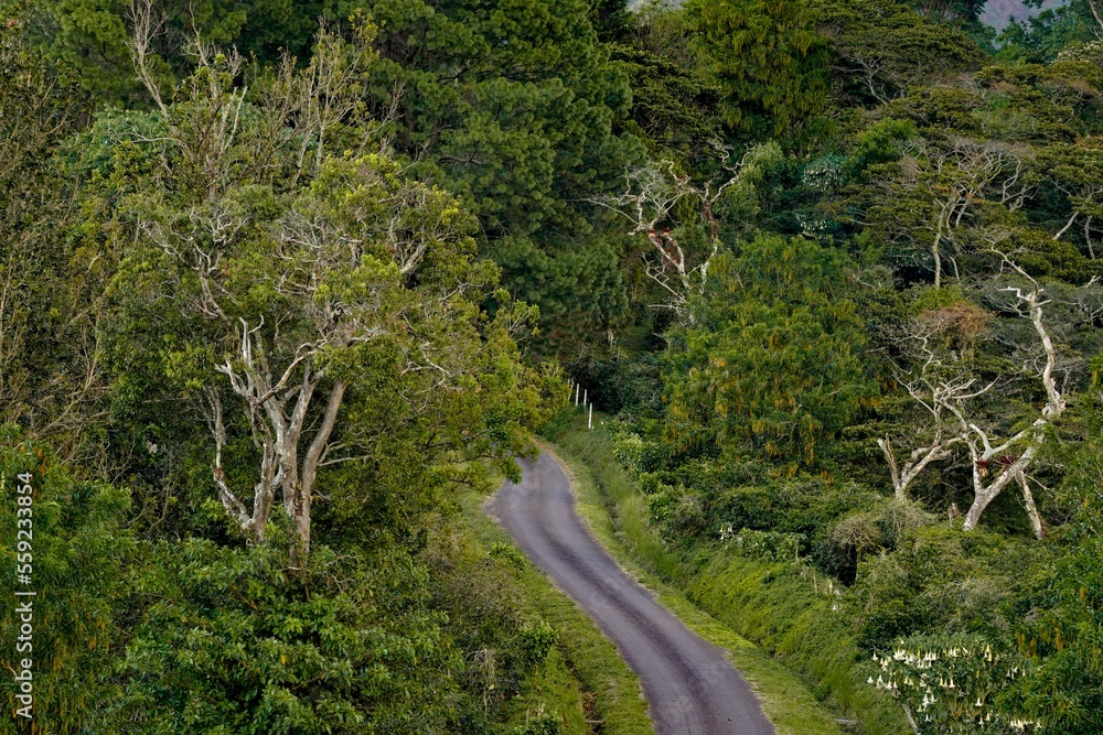 Fototapeta premium Aerial view of Boquete in the Chiriqui province of western Panama.