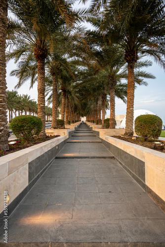 Two rows of palm trees, and in the middle of them a long staircase with an vanishing point Museum of Islamic Art in Doha, Qatar