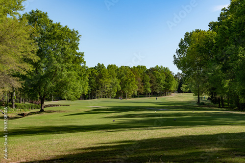 Green tree lined fairway of a golf course background