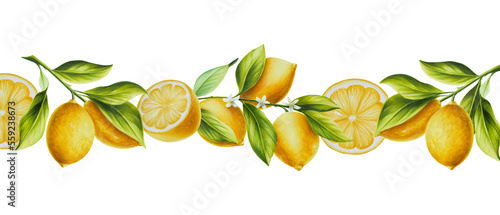 Watercolor border with fresh ripe lemon with bright green leaves and flowers. Hand drawn cut citrus slices painting on white background. For designers, postcards, party Invitations, wrapping paper