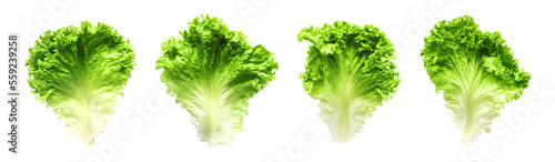 Fotografia Set of lettuce leaves isolated on transparent png