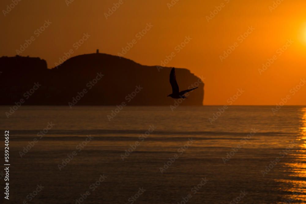 Image of a sunrise on the beach in Spain