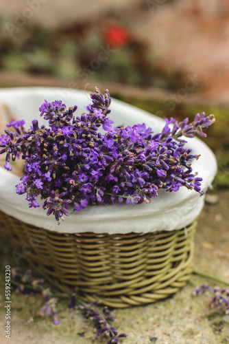 Top-view of bunch of lavender in a wicker basket on natural background.