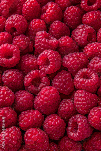 Fresh, ripe, juicy raspberries with water drops. Berry macro shot selective focus.