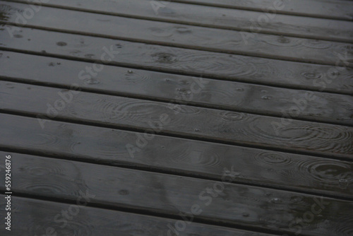 Wallpaper Mural Rain falling on wet wooden deck boards, raindrops splashing on decking Torontodigital.ca