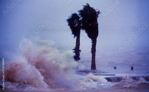 Hurricane Gilbert slams into the Texas/Mexico coastine. photo