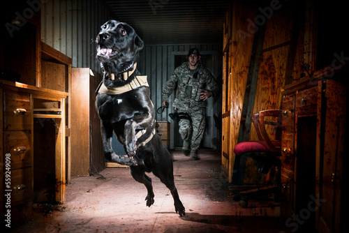 An Air Force Security Forces K-9 handler, and his military working dog, track an armed assailant into a trailer home and prepare to take the perpetrator down by force. photo