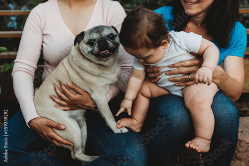 Barefoot baby with pudgy legs on mom's lap pointing at toes on Pug paw